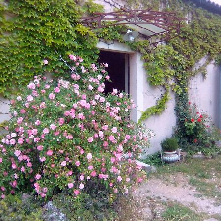 Bed and Breakfast Le Domaine de Belle à LʼIsle-sur-la-Sorgue Extérieur photo