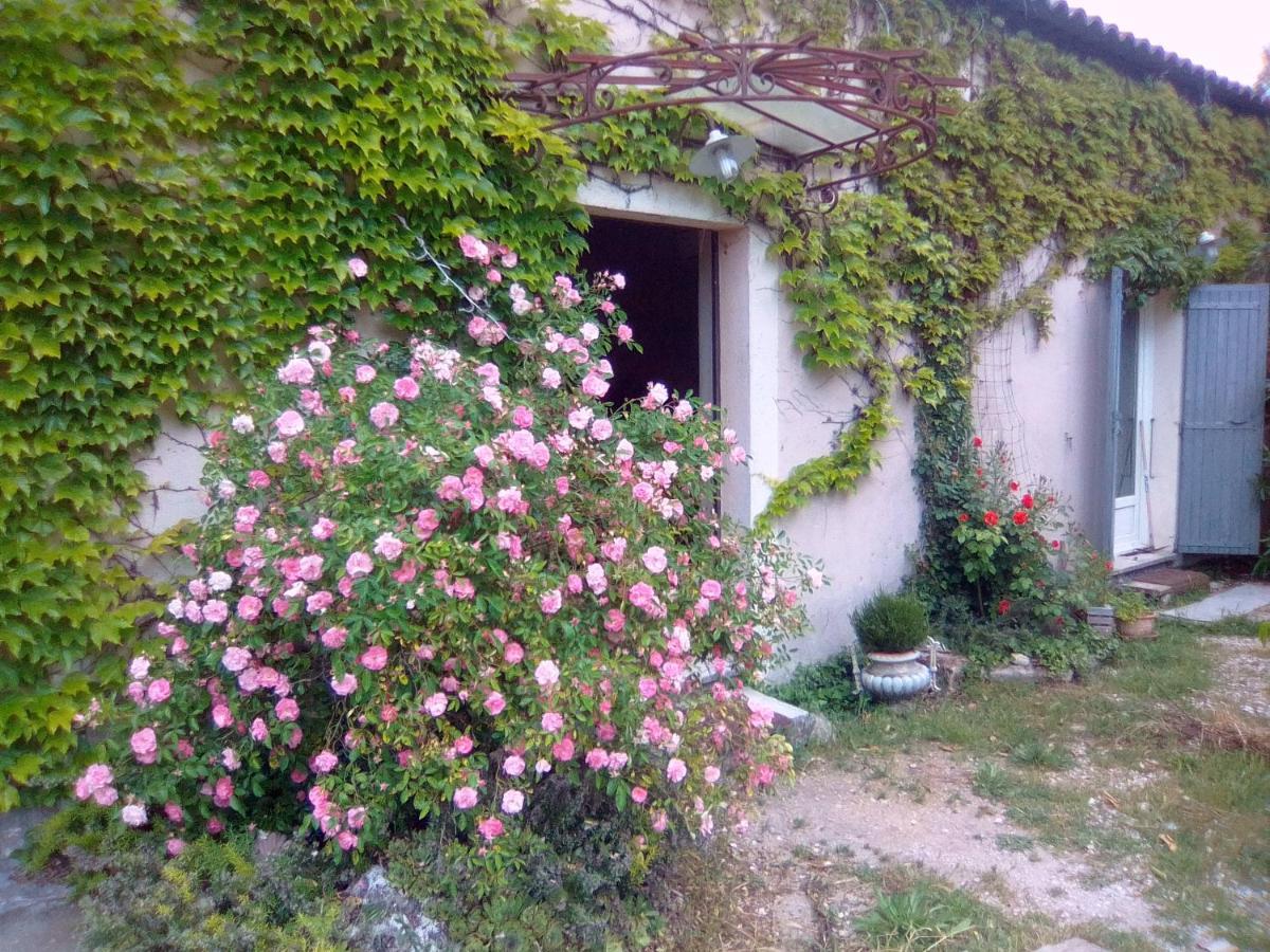 Bed and Breakfast Le Domaine de Belle à LʼIsle-sur-la-Sorgue Extérieur photo
